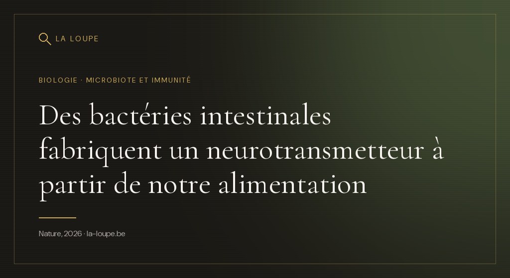 Illustration : des bactéries stylisées en lumière verte dans une paroi intestinale, entourées de molécules dorées diffusant vers des cellules immunitaires