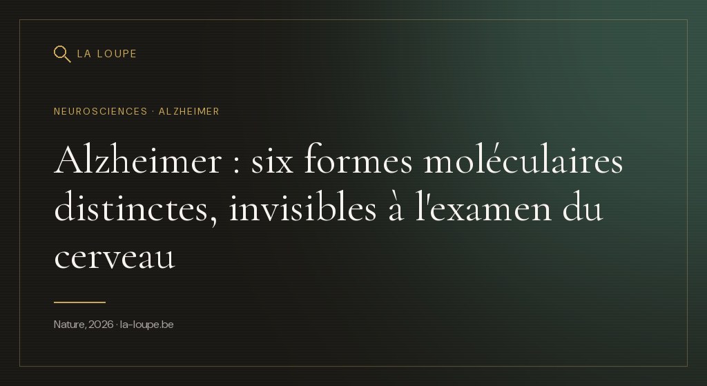 Illustration : un tissu cérébral stylisé en points lumineux de couleurs distinctes formant des groupes séparés, avec des fibres neuronales en arrière-plan