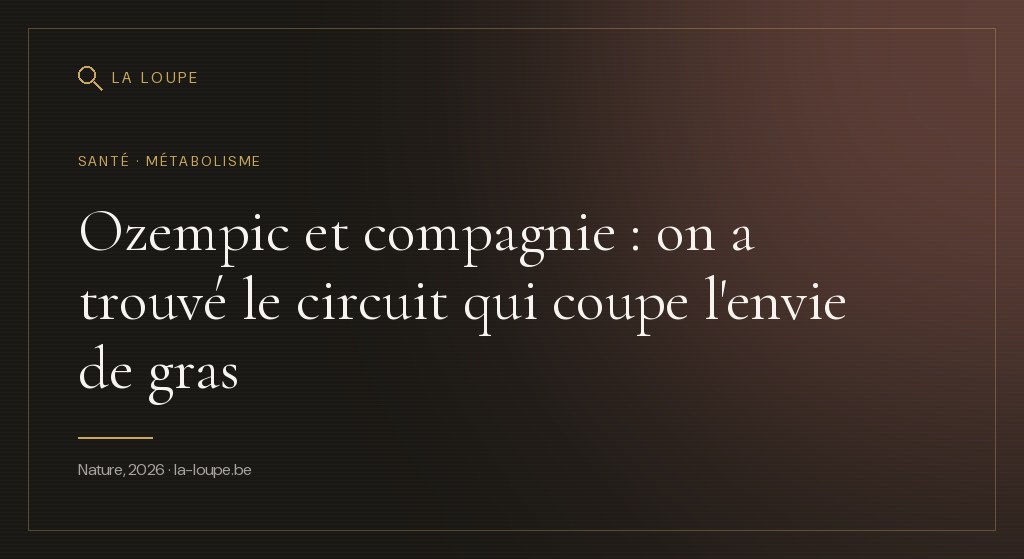 Illustration : une coupe stylisée de cerveau en lumière dorée, avec un chemin lumineux reliant l'amygdale au circuit de la récompense, et une assiette d'aliments gras qui s'estompe