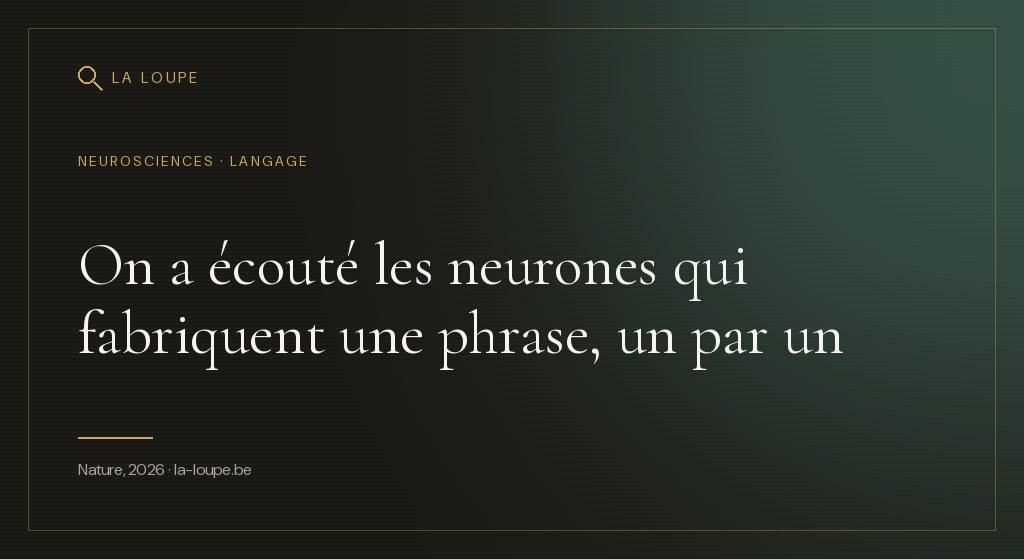 Illustration : une phrase stylisée dont les mots se transforment en points lumineux reliés par un arbre syntaxique doré au-dessus d'une silhouette de cortex