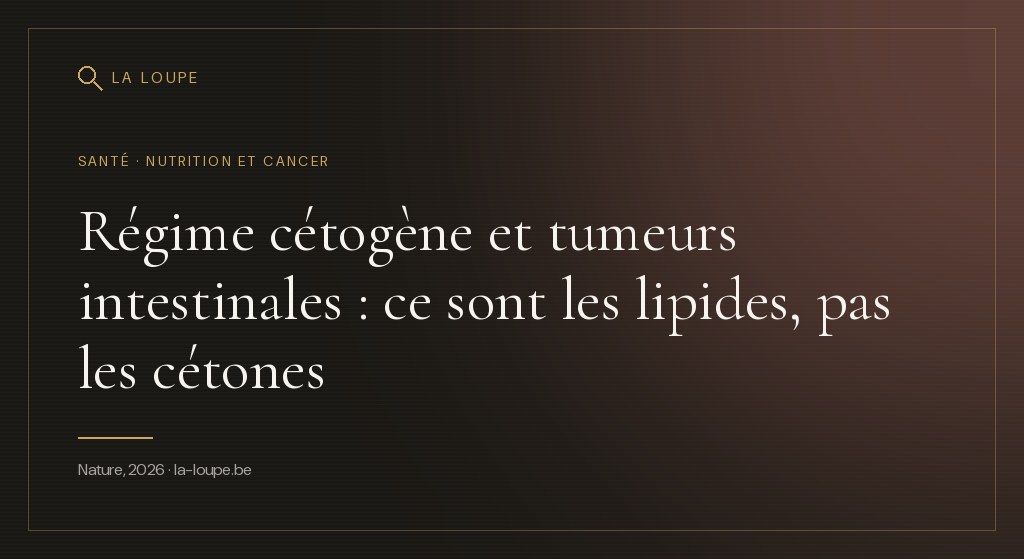 Illustration : une coupe stylisée de muqueuse intestinale en tons chauds, avec des gouttelettes lipidiques dorées et des cryptes intestinales qui s'illuminent